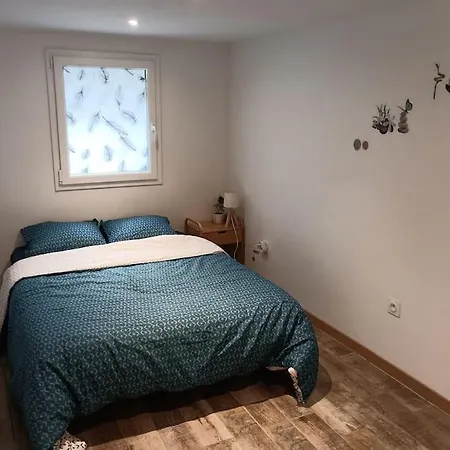 Chez Remi Appartement Meximieux Buitenkant foto